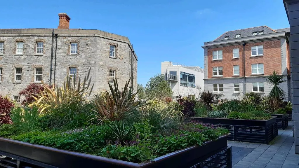 Terrace, 'Griffith Rooms, Dublin