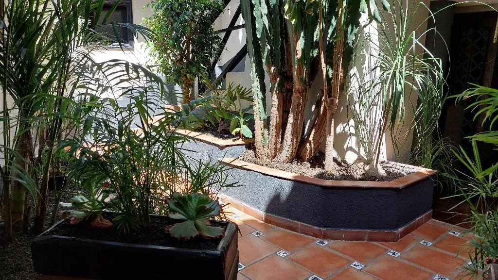 Conferences, Apartamentos Monasterio de San Antonio Only Adults, Tenerife