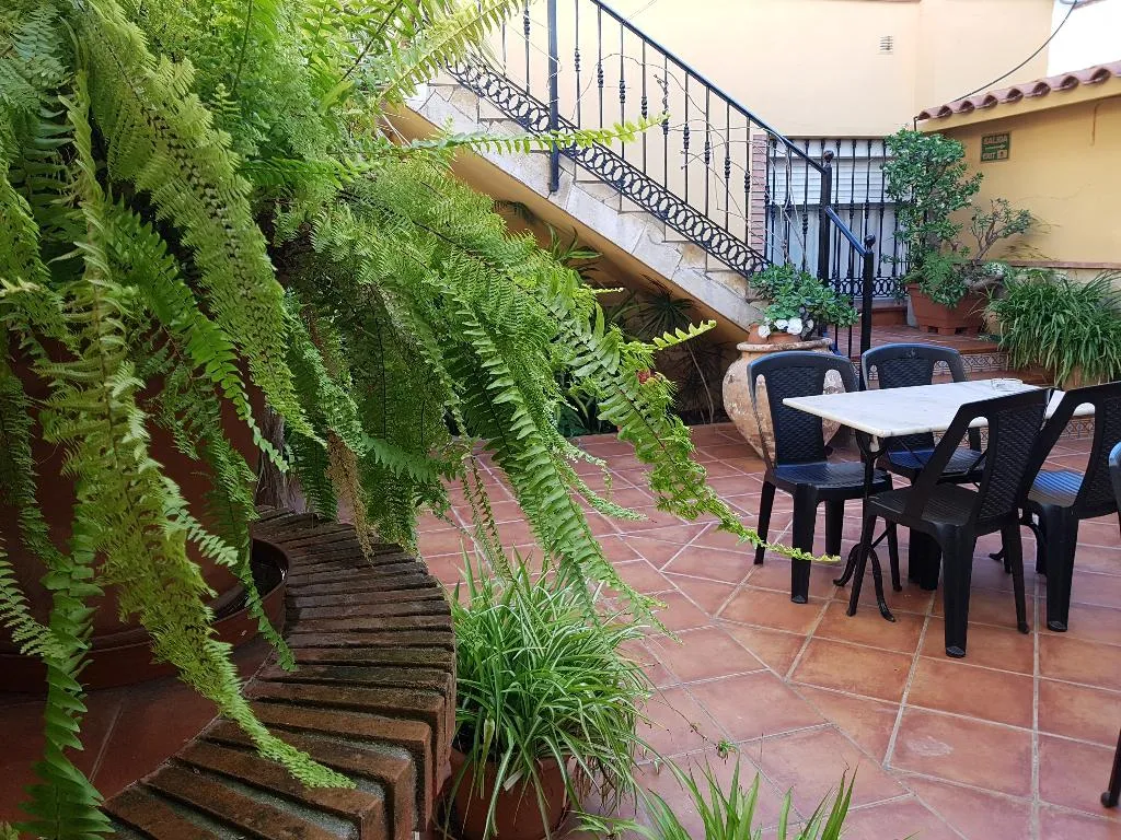 Terrace, Hostal El Nogal, Costa Del Sol