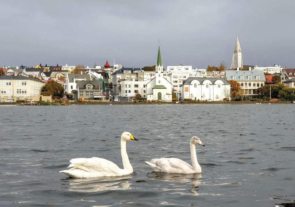 General view, Lækur Hostel, Reykjavik