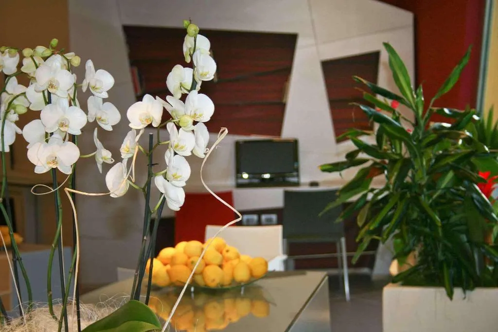 Sports and Entertainment, Ibis Styles Catania Acireale, Catania