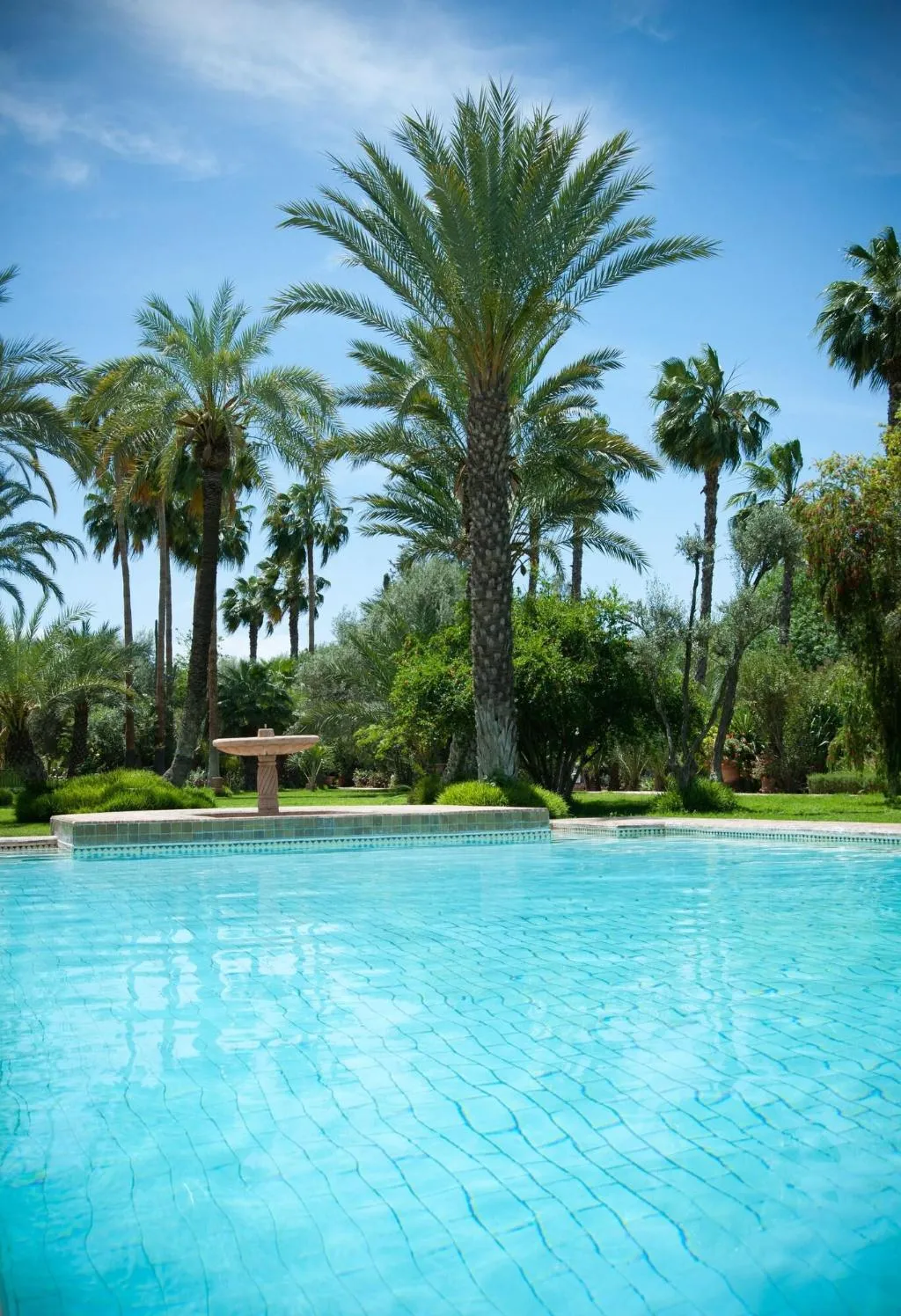 Sports and Entertainment, Dar Ayniwen Garden Hotel & Bird Zoo, Marrakech