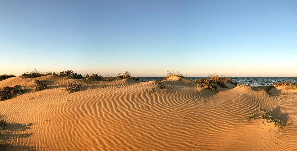 Beach, Oliva Nova Beach & Golf Hotel, Fuerteventura