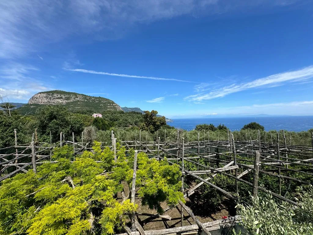 DOUBLE STANDARD Room, Agriturismo Piccolo Paradiso, Naples