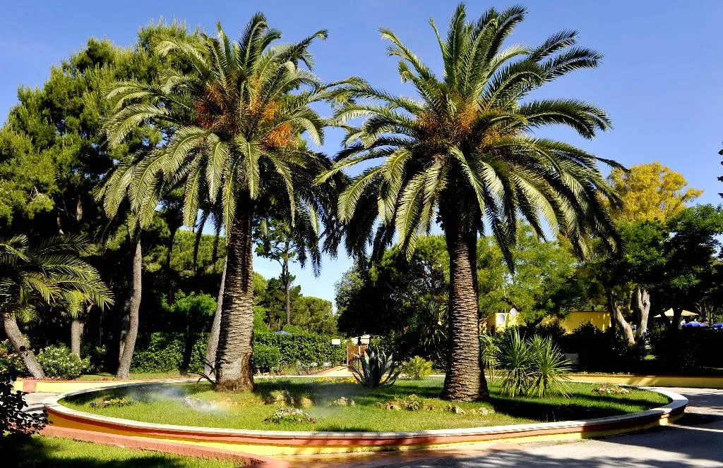 General view, La Serra Holiday Village & Beach Resort, Naples