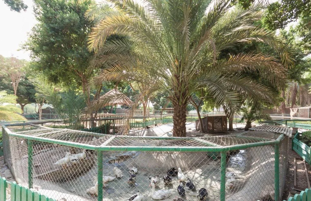 Terrace, Jolie Ville resort & Spa Kings Island, Luxor, Luxor