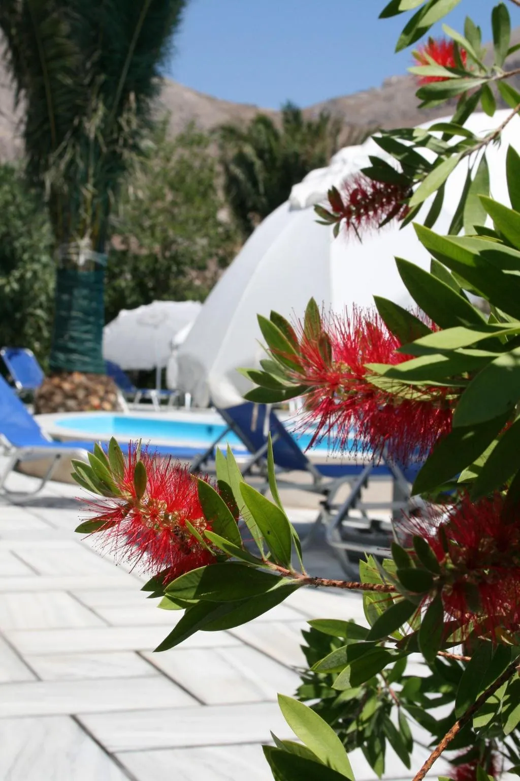 Sports and Entertainment, Spiros & Hiroko Hotel - Adults Only, Santorini