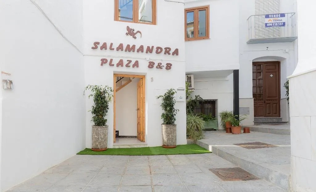 General view, Salamandra Plaza B&B, Seville