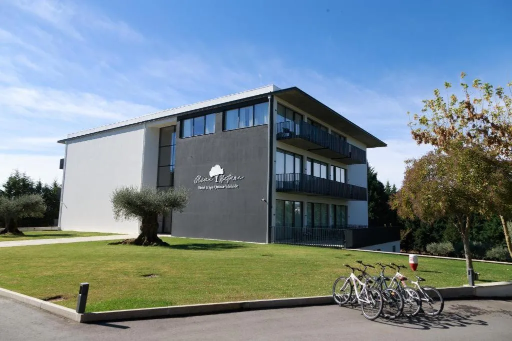 General view, Olive Nature Hotel & SPA - Quinta Valle de Passos, Porto