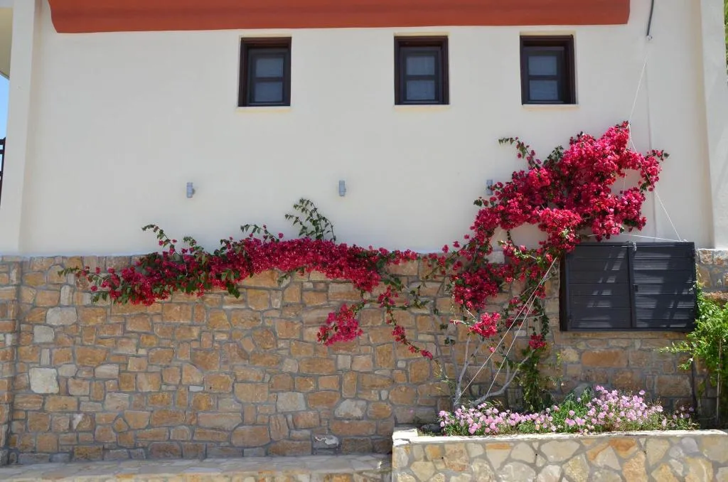 General view, Helianthus Guesthouse, Thessaloniki