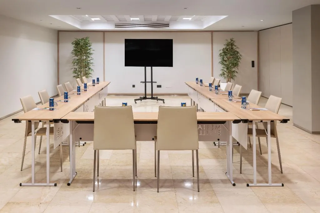 Conferences, Melia Sevilla, Seville