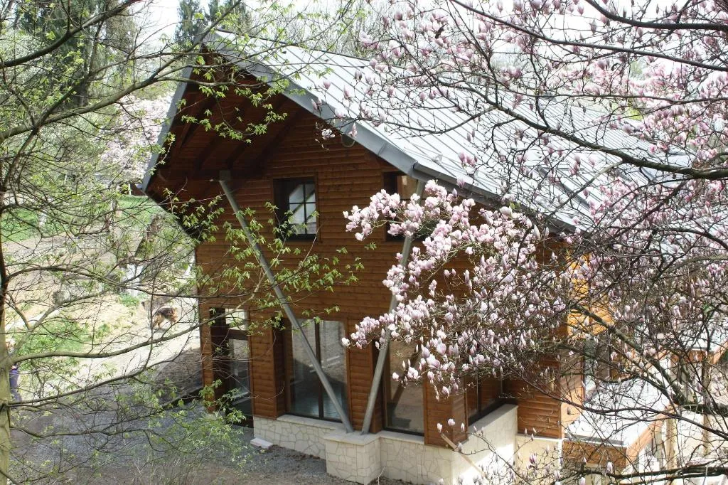 General view, Ekosamotnia Eco Dream Pension, Krakow