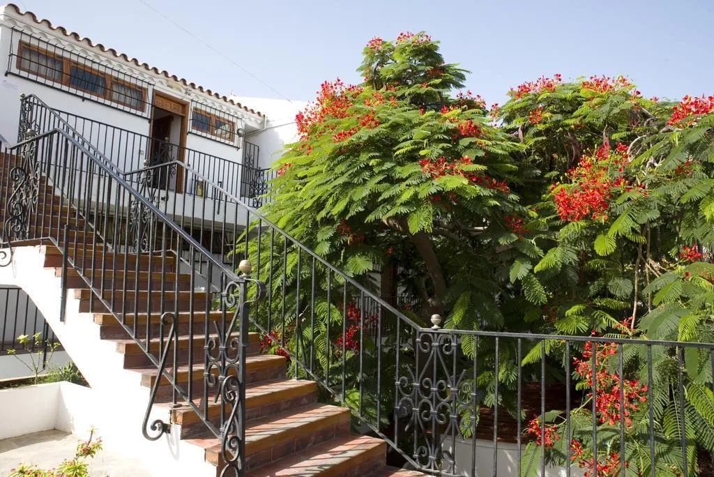 General view, Las Orquideas, Gran Canaria
