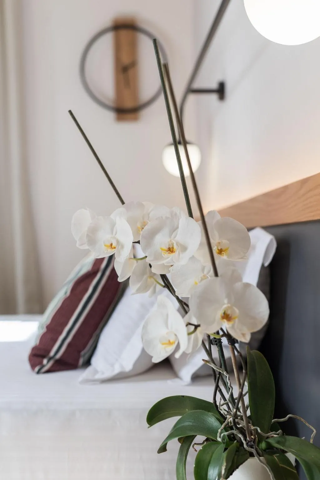 Room, Harismari Cozy Hotel, Crete
