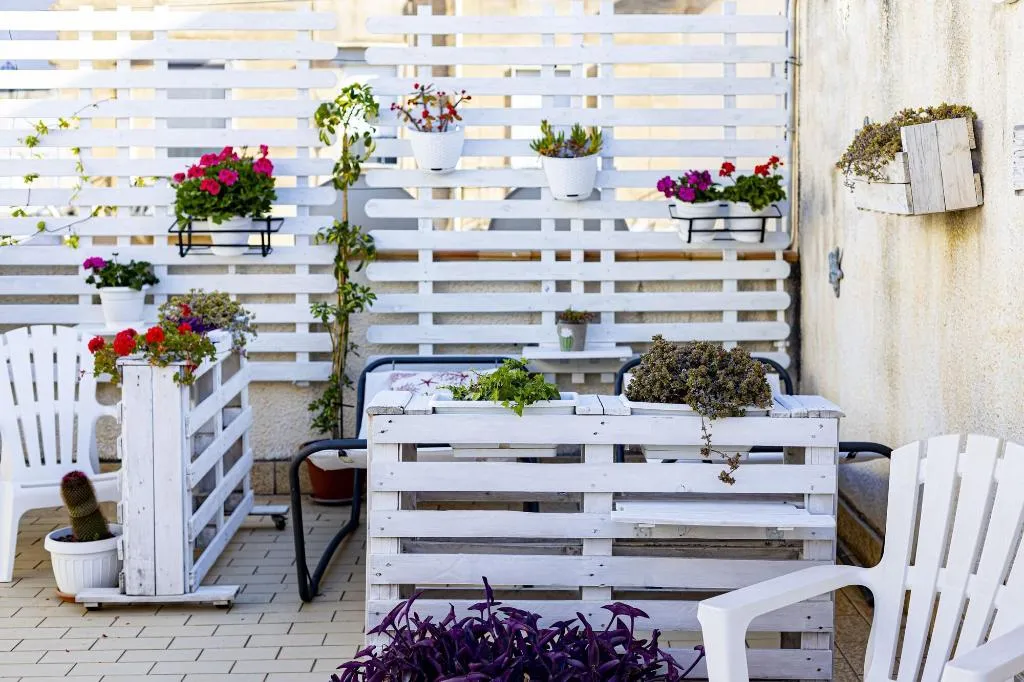 Terrace, Trapani Home, Palermo
