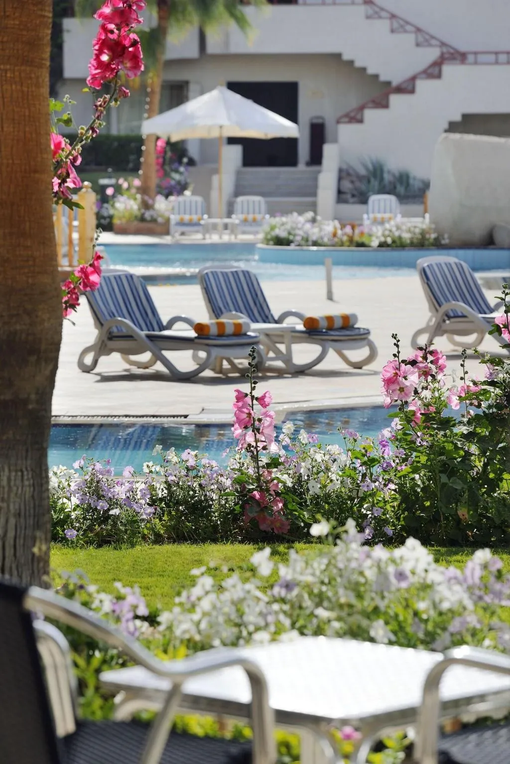 Pool, Naama Bay Promenade Resort Managed By Accor, Red Sea Riviera