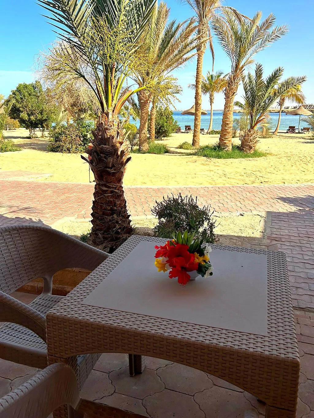 DOUBLE SEA VIEW Room, Mangrove Bay Resort, Red Sea Riviera