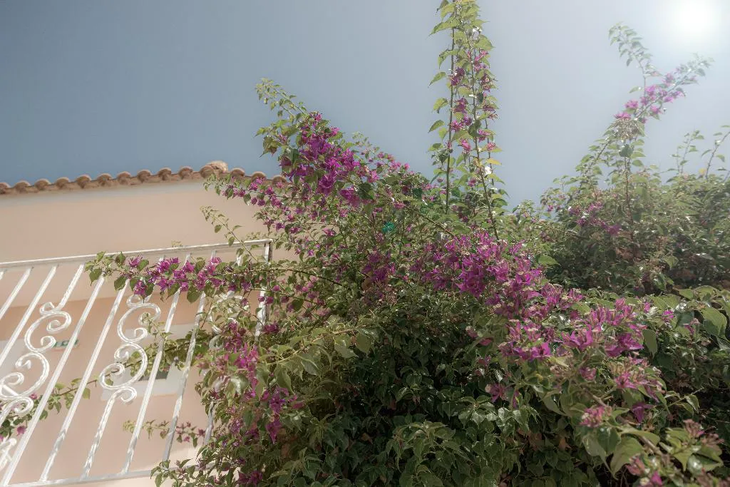 General view, Ecoresort Zefyros, Zante