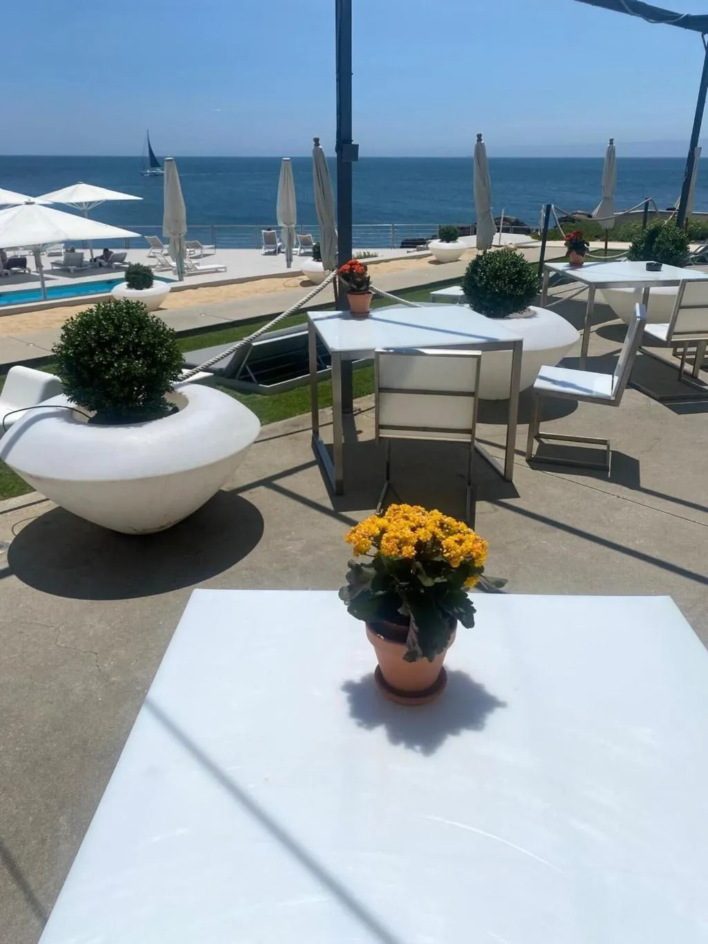 Bar, Hotel Farol, Lisbon