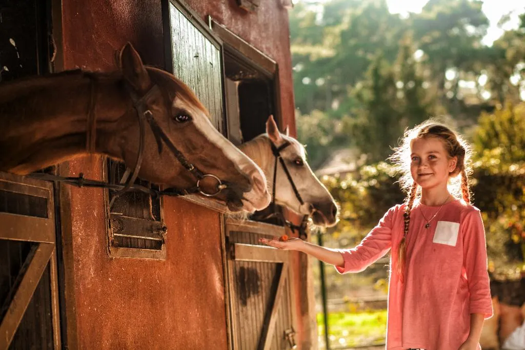Sports and Entertainment, Hotel Berke Ranch & Nature, Antalya