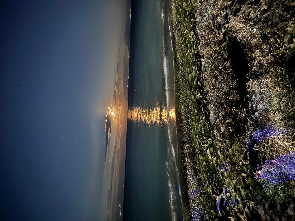Beach, Villa Panorea, Corfu