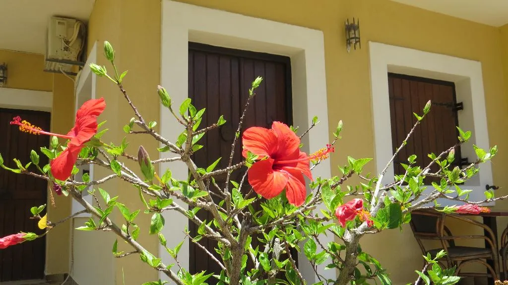 General view, Villa Medusa, Crete
