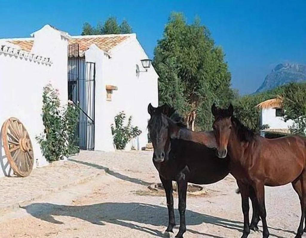 General view, El Horcajo, Costa Del Sol