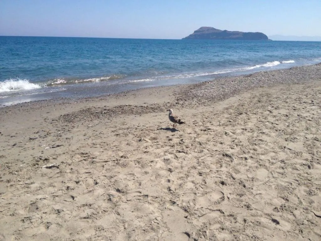 General view, Baladinos Apartments, Crete