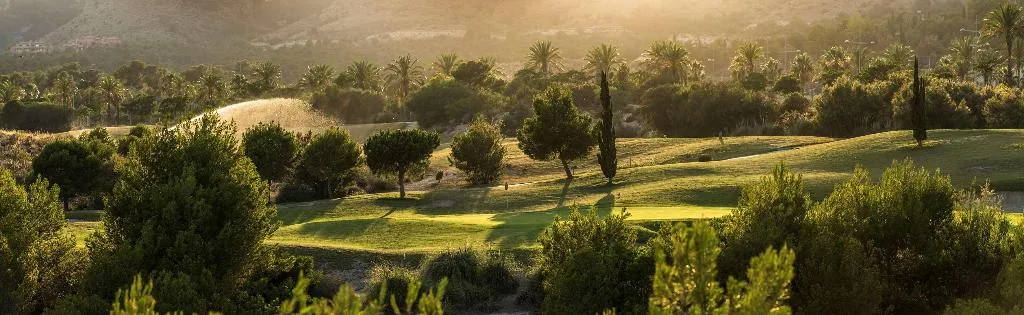 Sports and Entertainment, Melia Villaitana, Costa Blanca