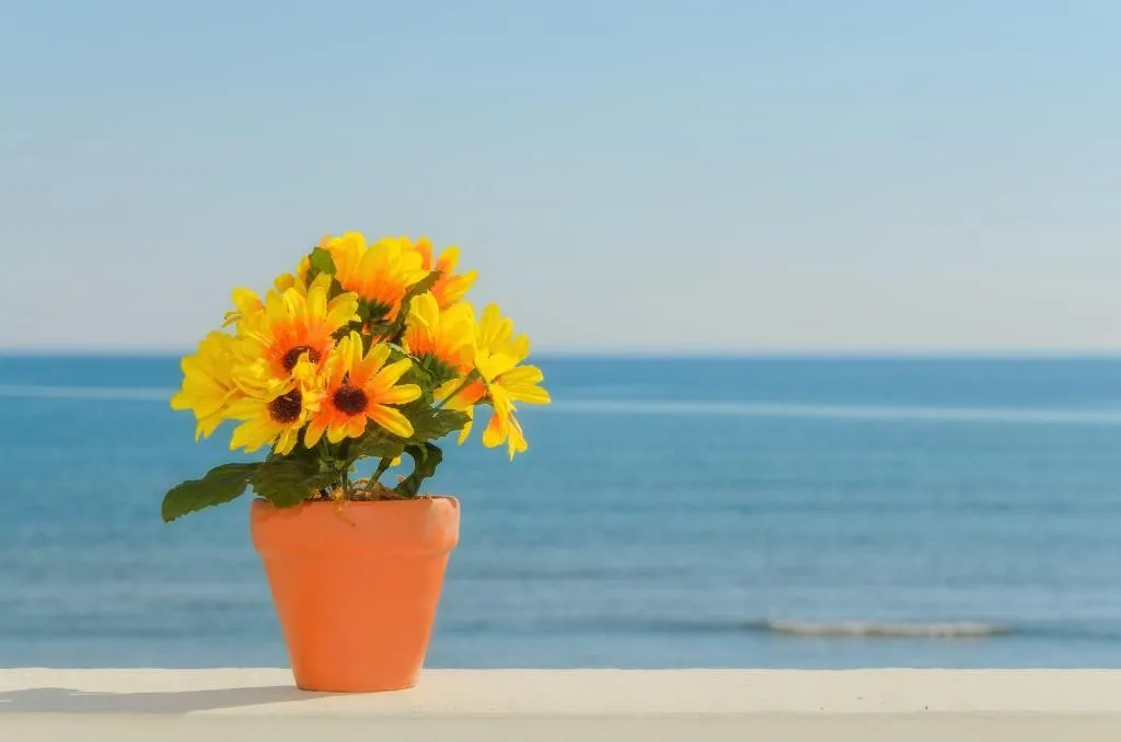 General view, Sea View Studios & Apartments, Zante