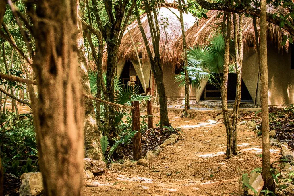 TWIN STANDARD Room, Akumal Natura Glamping, Playa Del Carmen