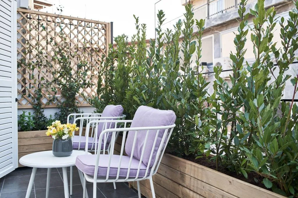 Terrace, Athens4, Athens