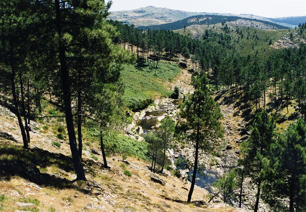 General view, Pousada do Marão - S. Gonçalo, Porto