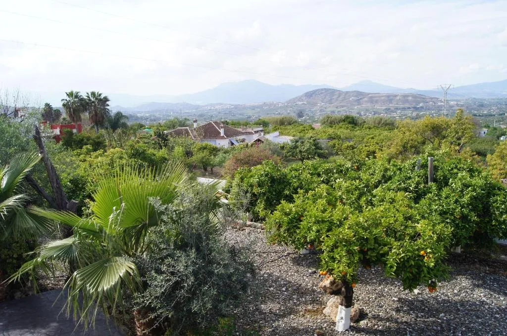 Room, Casa De Orange, Costa Del Sol