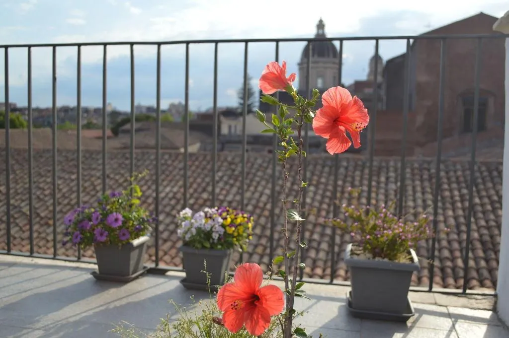Terrace, Bed Book & Breakfast Landolina, Catania