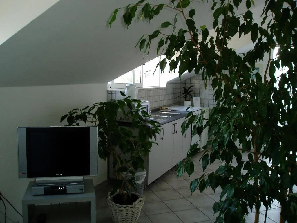 Room, Pink Inn, Split