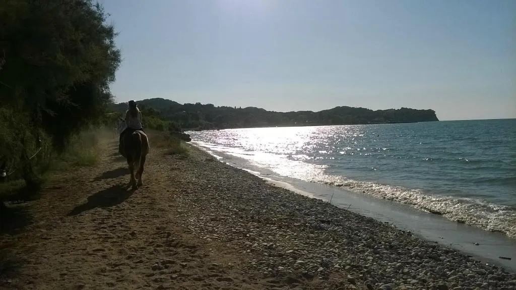 Beach, S C Kosmos Beach Resort, Corfu