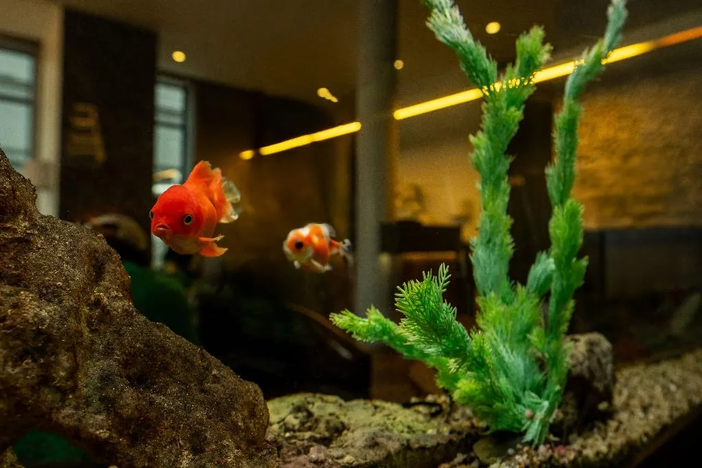 Lobby, Wellton Centrum Hotel & SPA, Riga