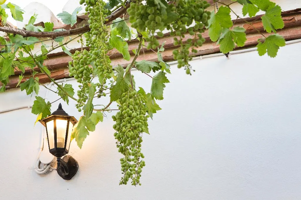 Restaurant, Cortijo del Arte, Costa Del Sol