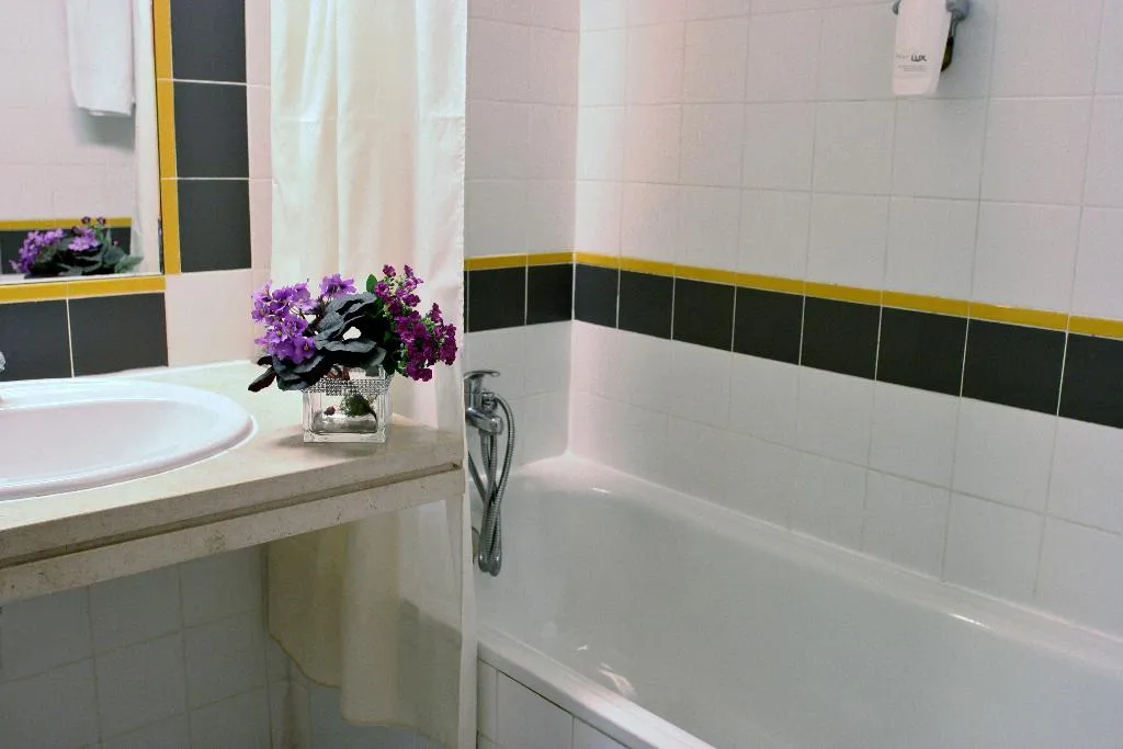 DOUBLE SINGLE USE SUPERIOR Room, Flag Hotel Braga, Porto