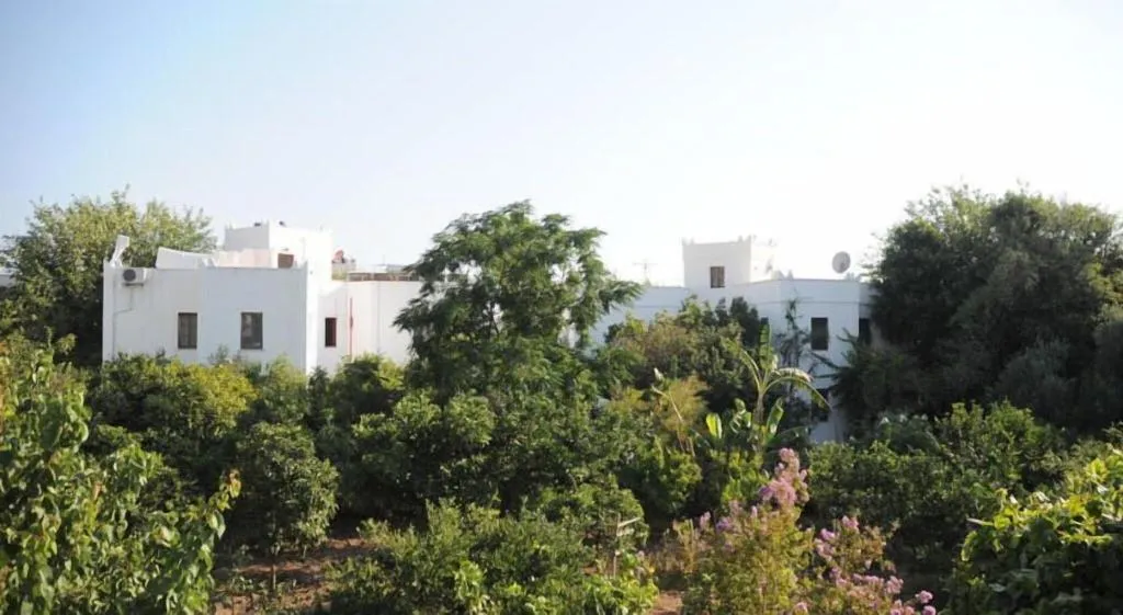 General view, Gulec, Bodrum