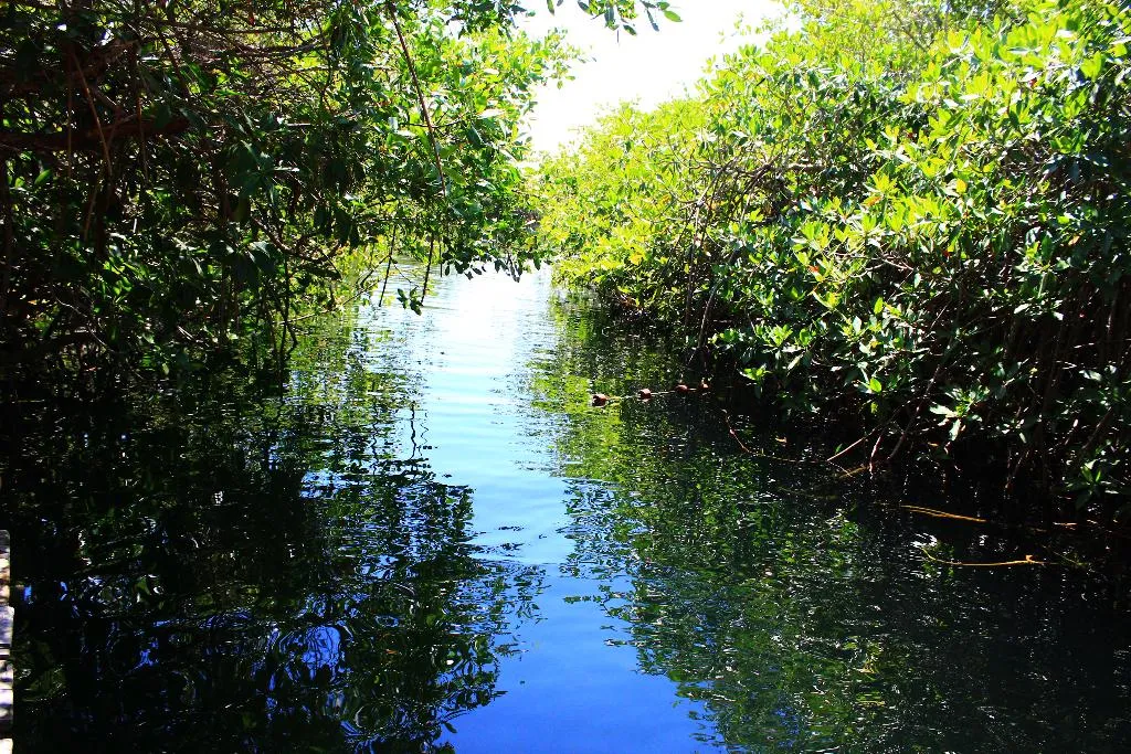 Pool, Maya Cabañas and Cenote Tulum, Cancun Area
