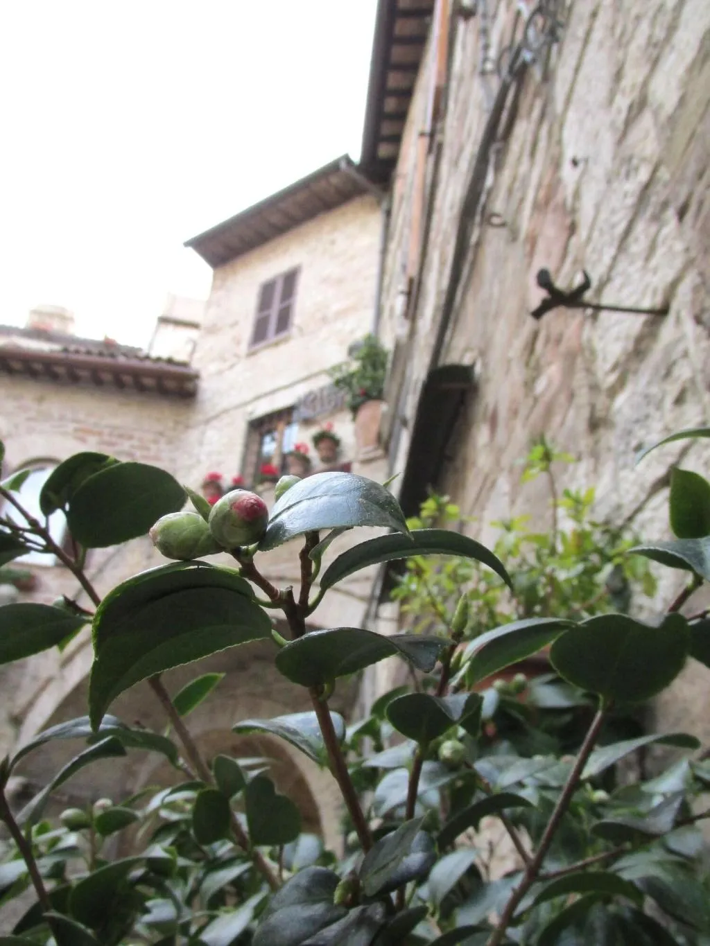 General view, Hotel Pallotta Assisi, Perugia