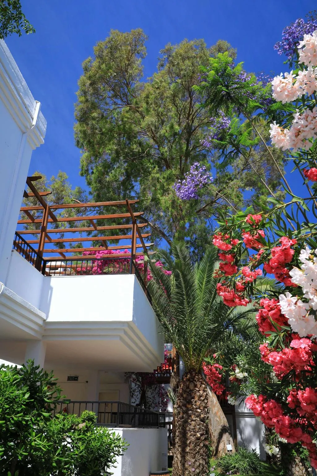 General view, Otium Senses Very Chic Hotel In Bodrum+ 18, Bodrum