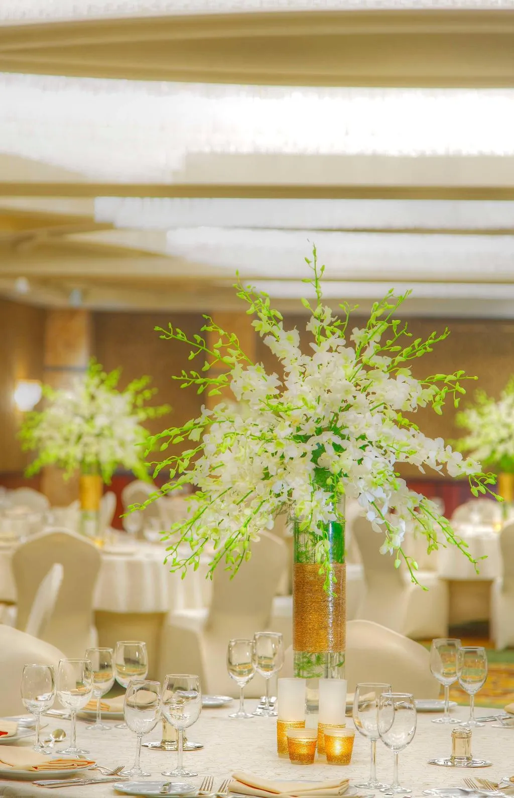 Conferences, Hilton Cairo Grand Nile, Cairo
