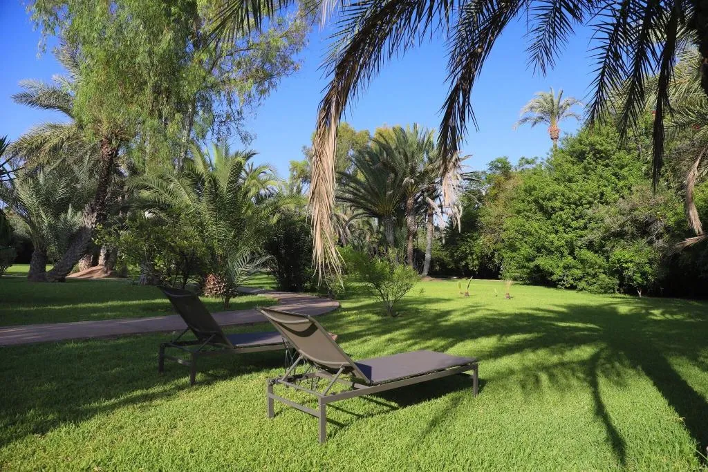 Terrace, Villa al Assala Palmeraie, Marrakech
