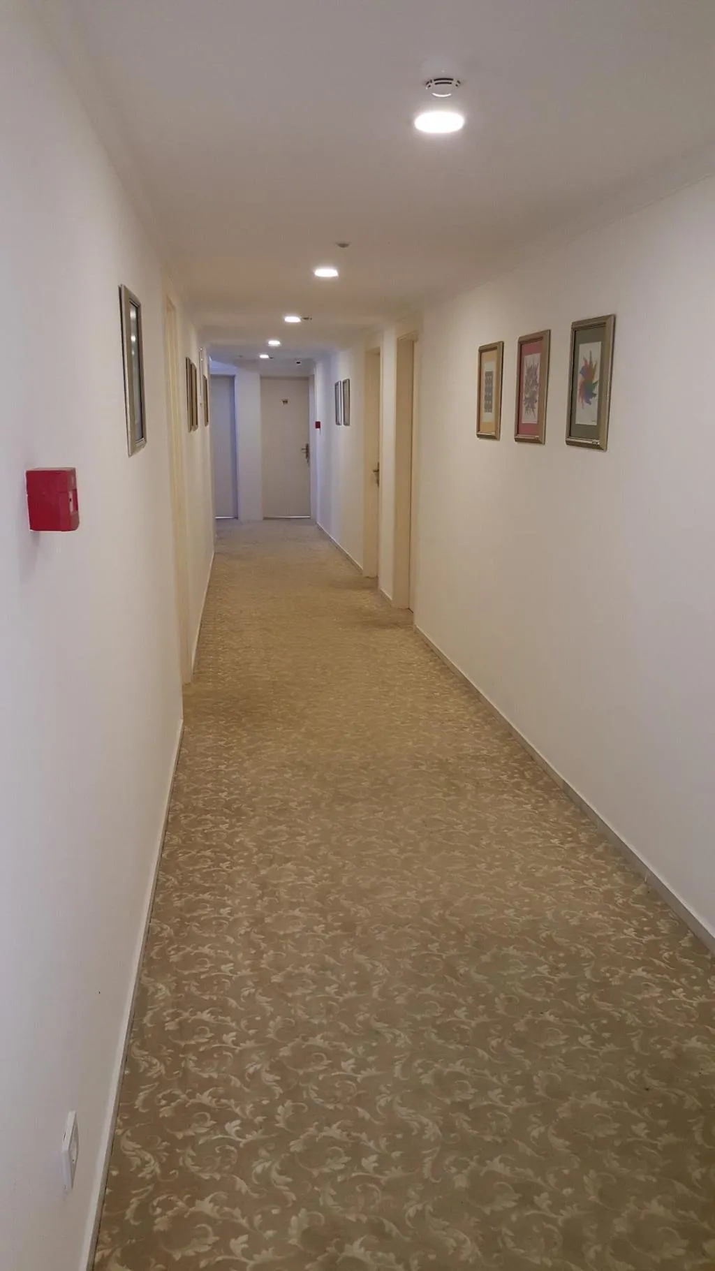 Sports and Entertainment, Artemis Hotel Bodrum, Bodrum