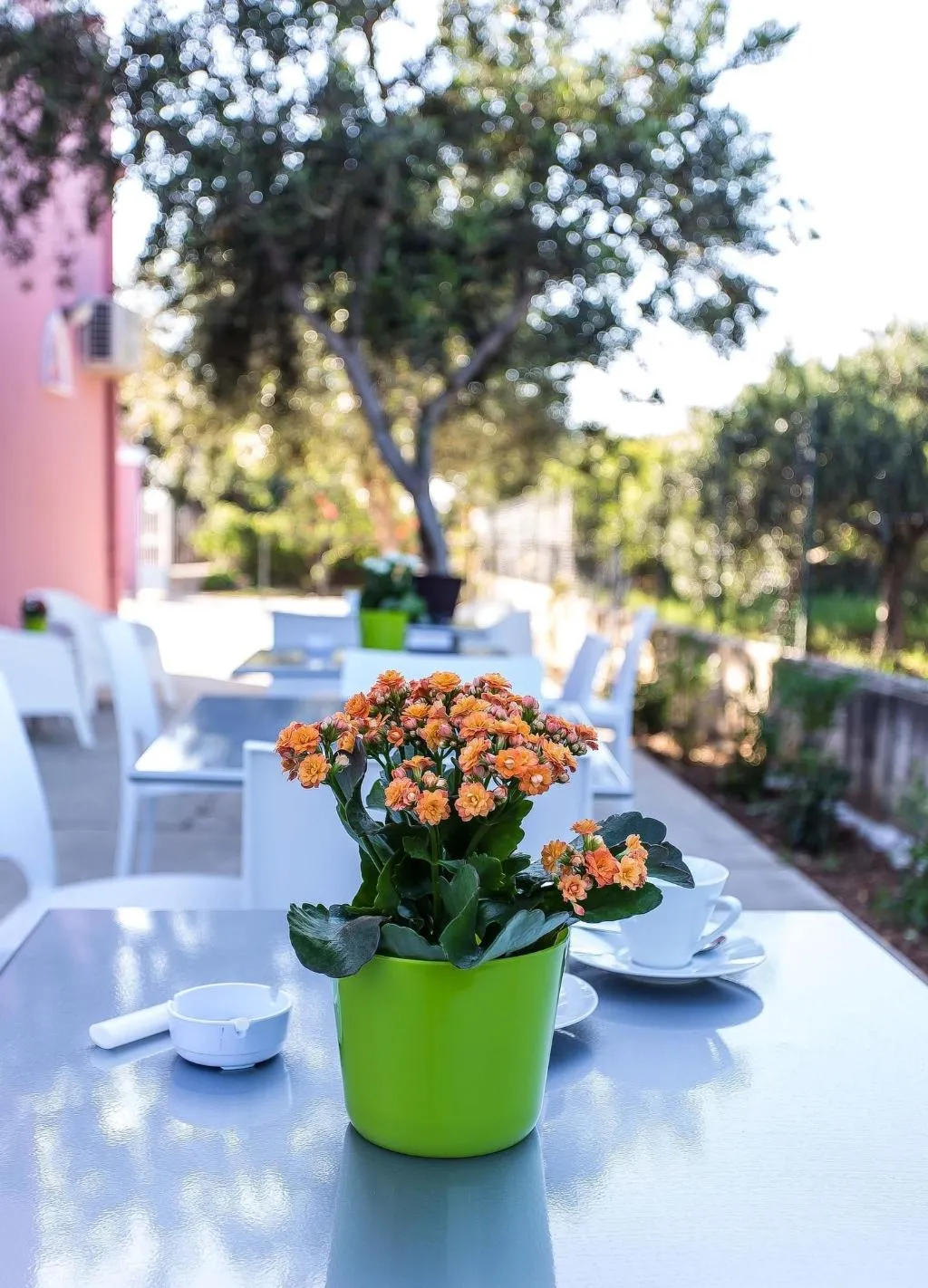 Restaurant, Miss Sicily B&B, Palermo