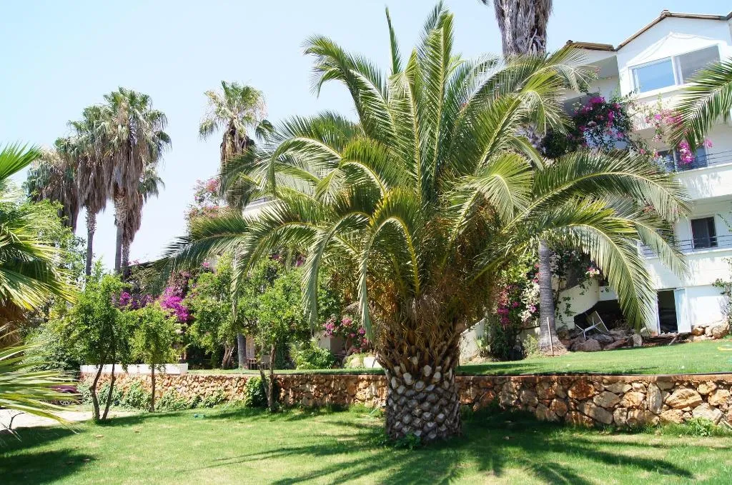 General view, Hotel Pataros, Dalaman