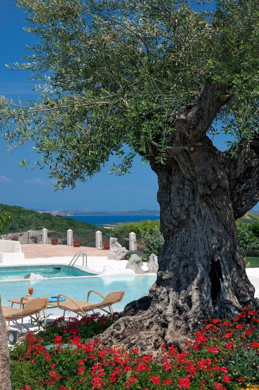 Pool, Pulicinu, Olbia